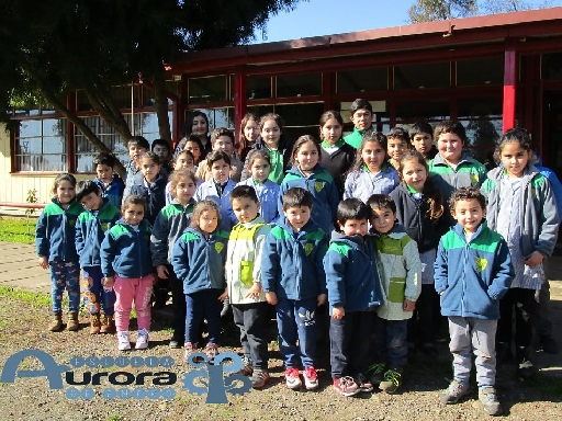 ESCUELA BASICA AURORA DE ENERO