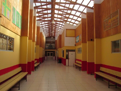 COLEGIO INGLES